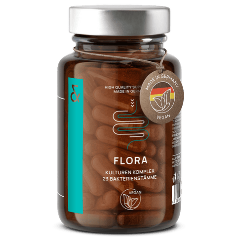 Flora Bakterien Komplex für den Darm