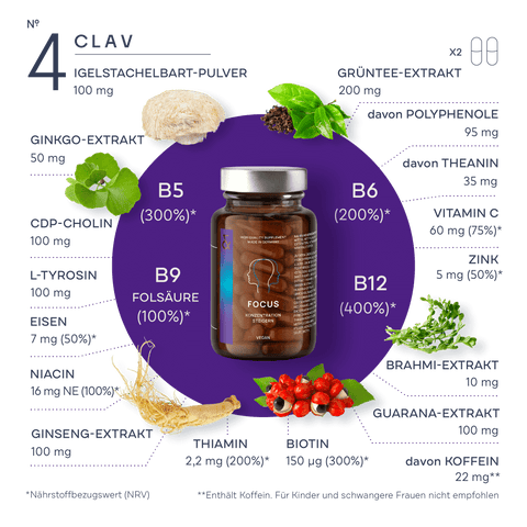 CLAV_4_Focus_Inhaltsstoffe