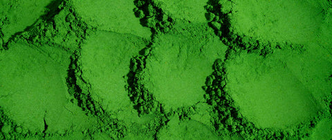 Spirulina & Chlorella für dein Hautbild: Was steckt dahinter?