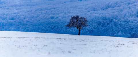 Bye, bye Winterblues: Der Weg zu mehr Energie und Motivation