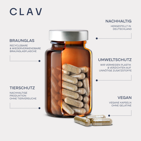 Multivitamin B-Komplex Stoffwechsel USPS