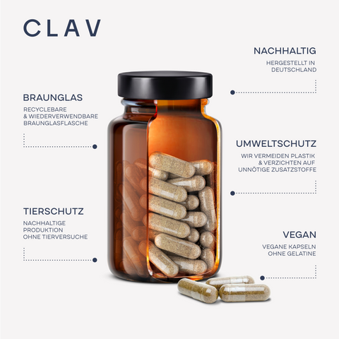 PROSTA | Saw Palmetto Kapseln