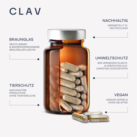 CLAV Infografik