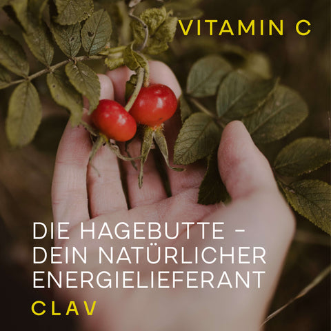Natürliches Vitamin C Hagebutte